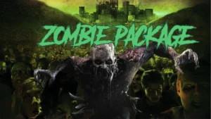 The Zombie Experience