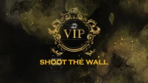Shoot The Wall VIP Experience